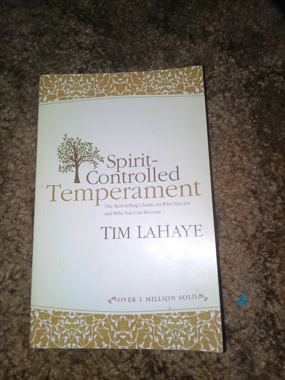 Spirit-Controlled Temperament Book - Cream and Gold